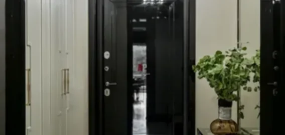 Двери с шумопоглощающими панелями